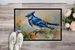 Blue Jay Doormat Front Door Mat Indoor Outdoor Rugs For Entryway, Non Slip Washable Low Pile, 24H X 36W_maomaolike.com