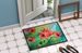 Missouri Hawthorns In Watercolor Doormat Front Door Mat Indoor Outdoor Rugs For Entryway, Non Slip Washable Low Pile, 24H X 36W_maomaolike.com
