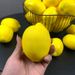 Factory Direct Sale Artificial Fake Yellow Lemon Fruit Model Foam Styrofoam Material Photography Prop Decoration_maomaolike.com