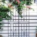 4 Pack Metal Garden Trellis 71" X 17.7" Rustproof Trellis For Climbing Plants Outdoor Flower Support Brown_maomaolike.com