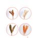 Green Plant Ornament Bouquet Decoration Champagne Color Hall Internet Celebrity Wedding Artificial Fake Flowers Direct_maomaolike.com