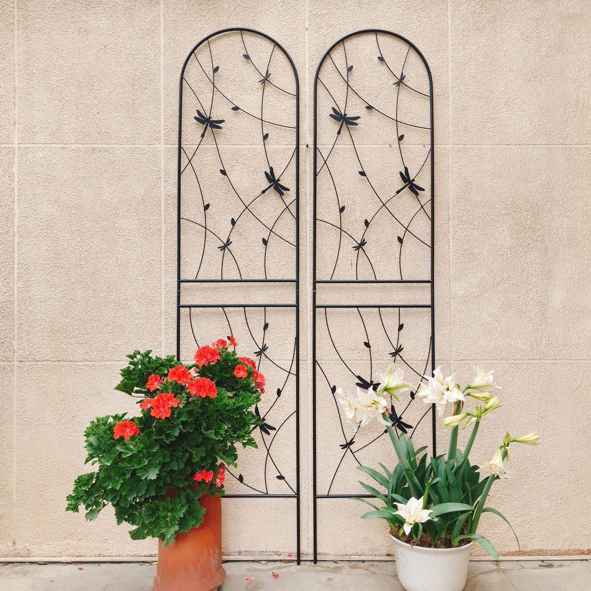 2 Pack Metal Garden Trellis 86.7" X 19.7" Rustproof Trellis For Climbing Plants Outdoor Flower Support Dragonfly Deco Black_maomaolike.com