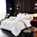 Winter Hotel Guesthouse Cotton Spring Autumn Core Thickened Warm Brushed Student Dormitory Single Double Quilt Wholesale_maomaolike.com
