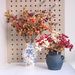 Artificial Foam Berries Berry Blueberry Peony Fruit Christmas Accessories_maomaolike.com