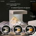 Gukon Rizhao Jinshan Small Night Light Aromatherapy Ornament Diffuser Stone Box Birthday Gift For Girls Give To Friends_maomaolike.com