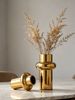 Modern Gold Plated Vases, Minimalist Abstract Vases For Home Decoration, Luxurious Centerpieces For Living Rooms, Bedrooms, And Dining Tables_maomaolike.com