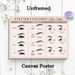 Eyelash Extension Style Guide Painting Poster, Clean Illustrative Lash Guide Poster, Comprehensive Reference Of Lash Shapes, Applications & Curls_maomaolike.com