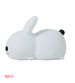 Colorful Rabbit Silicone Night Light Led Cute Charging Jade Rabbit Shooting Light_maomaolike.com