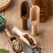 Mini Seasoning Coffee Spoon Tea Spoon Salt Spoon_maomaolike.com