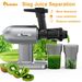 IAGREEA Horizontal Slow Juicer, An Electric Juicer For Fruits And Vegetables, Has A Reverse Function, Easy To Clean, Suitable For Daily Juice And Vegetable Juice Extraction_maomaolike.com