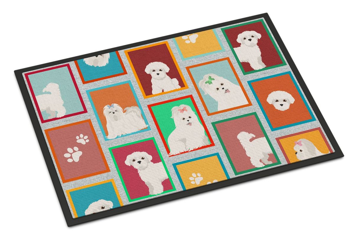 Lots Of Maltese Doormat Front Door Mat Indoor Outdoor Rugs For Entryway, Non Slip Washable Low Pile, 24H X 36W_maomaolike.com