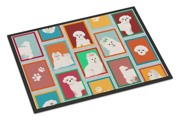 Lots Of Maltese Doormat Front Door Mat Indoor Outdoor Rugs For Entryway, Non Slip Washable Low Pile, 24H X 36W_maomaolike.com