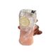 2 Sets Of Japanese Style Tree Shaped Glass Cups, High-value Heat-resistant Tea Cups, Juice Cups, Cold Drink Milk Cups_maomaolike.com