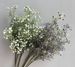 Fresh And Simple 3-branch Gypsophila Wholesale Artificial Fake Flowers For Foreign Trade, Home Decoration, Wedding_maomaolike.com