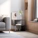 20" Modern End Table, Accent Side Table, S-Shaped Coffee Table With Storage Shelf And Steel Poles, Black_maomaolike.com