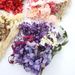 Preserved Dried DIY Material Kit Real Natural Air-Dried Candle Fan Frame Greeting Card Decoration Handmade Flower_maomaolike.com