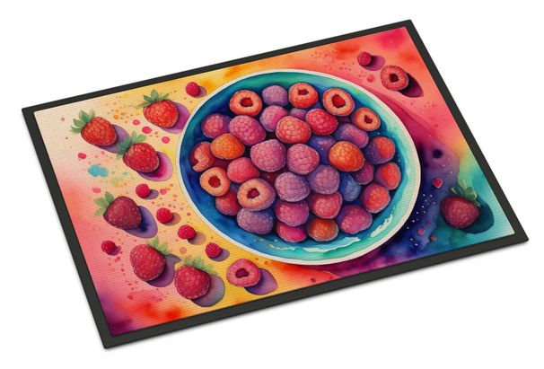 Colorful Raspberries Doormat Front Door Mat Indoor Outdoor Rugs For Entryway, Non Slip Washable Low Pile, 24H X 36W_maomaolike.com