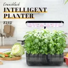 Plant Support & Care_maomaolike