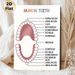 Human Teeth Educational Painting Poster, Clear Labeled Minimalist Poster, Informative Dental Anatomy Reference Ideal For Dental Clinics, Study Spaces_maomaolike.com