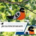 Yegbong Bird Pendant Garden Branch Pendant Cartoon Felt Cloth Colorful Bird Balcony Window Decoration_maomaolike.com