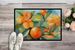Florida Orange Blossom In Watercolor Doormat Front Door Mat Indoor Outdoor Rugs For Entryway, Non Slip Washable Low Pile, 24H X 36W_maomaolike.com