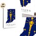 Indiana State Flag Map Painting Poster, Bold Blue & Gold Graphic Poster, Features State Outline With Torch And Stars, Ideal For Home Or Office Wall_maomaolike.com