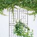 2 Pack Metal Garden Trellis 86.7" X 19.7" Rustproof Trellis For Climbing Plants Outdoor Flower Support Black_maomaolike.com