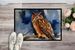 Eurasian Eagle Owl Doormat Front Door Mat Indoor Outdoor Rugs For Entryway, Non Slip Washable Low Pile, 24H X 36W_maomaolike.com
