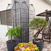 4 Pack Metal Garden Trellis 86.7" X 19.7" Rustproof Trellis For Climbing Plants Outdoor Flower Support_maomaolike.com