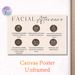 Facial Aftercare Painting Poster, Minimalist Line-art Instructional Poster, Practical Post-facial Care Guide Suitable For Beauty Salons, Spas_maomaolike.com
