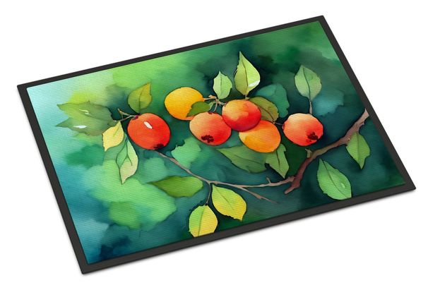 Missouri Hawthorns In Watercolor Doormat Front Door Mat Indoor Outdoor Rugs For Entryway, Non Slip Washable Low Pile, 24H X 36W_maomaolike.com