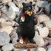 Resin Bear Figurine Statue Craft, Decorative Tabletop Ornament For Indoor Desk And Outdoor Garden Landscape Layout
_maomaolike.com