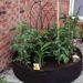 Plant Growth Bag, Circular Elevated Garden Bed, Planting Basin, Suitable For Outdoor Garden Planting Potatoes, Carrots, Onions_maomaolike.com
