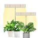 LED Plant Fill Light Lifting Desktop Full Spectrum Cultivation Hydroponic Vegetable Flower Seedling Lamp Plant Growth Lamp_maomaolike.com