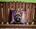Cairn Terrier King Of Mardi Gras Throw Pillow Machine Washable, Indoor Outdoor Decorative Pillow For Couch, Bed Or Patio, 14Hx14W_maomaolike.com