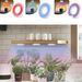 LED Plant Growth Lamp Flower Stand Plant Potted Succulent Flowers Full Spectrum Ceiling Plant Atmosphere Fill Light_maomaolike.com