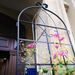 4 Pack Metal Garden Trellis 86.7" X 19.7" Rustproof Trellis For Climbing Plants Outdoor Flower Support Black_maomaolike.com