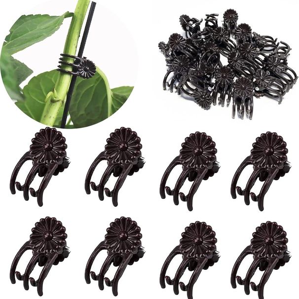 Garden Supplies Phalaenopsis Clip Plant Support Clip Orchid Fixed Clip Flower Bracket Support Rod Climbing Vine Gardening Shaping_maomaolike.com
