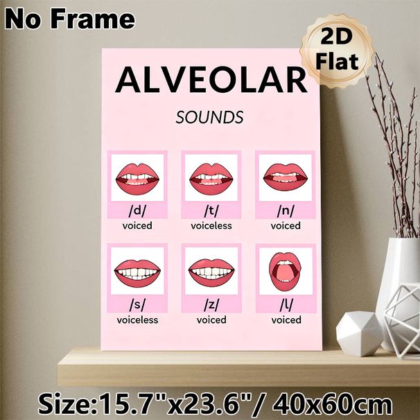 Alveolar Sounds Educational Painting Poster, Clear Illustrated Phonetics Poster, Visual Reference For English Pronunciation Learning, Suitable For_maomaolike.com