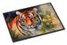 Tiger Doormat Front Door Mat Indoor Outdoor Rugs For Entryway, Non Slip Washable Low Pile, 24H X 36W_maomaolike.com