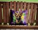 Belgian Malinois King Of Mardi Gras Throw Pillow Machine Washable, Indoor Outdoor Decorative Pillow For Couch, Bed Or Patio, 14Hx14W_maomaolike.com