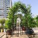 Metal Garden Arch With Gate With Planter W80.71*H97.24 Climbing Plants Support Rose Arch Outdoor Black_maomaolike.com