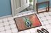 Nostalgic Zion AME Doormat Front Door Mat Indoor Outdoor Rugs For Entryway, Non Slip Washable Low Pile, 24H X 36W_maomaolike.com