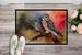 Northern Hawk Owl Doormat Front Door Mat Indoor Outdoor Rugs For Entryway, Non Slip Washable Low Pile, 24H X 36W_maomaolike.com