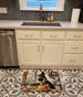 German Shepherd Fall Kitchen Pumpkins Memory Foam Kitchen Mat Machine Washable Anti-Fatigue Mat Cushion Comfort Bath Mat Or Kitchen Rug_maomaolike.com