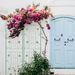 4 Pack Metal Garden Trellis 86.7" X 19.7" Rustproof Trellis For Climbing Plants Outdoor Flower Support_maomaolike.com