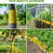 1 Roll 10M Yellow Double-Sided Sticky Barrier Anti-Climb Insect Trap Tape Non-Toxic For Ants Moths Aphids Whiteflies_maomaolike.com