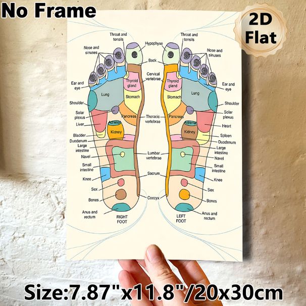 Reflexology Foot Chart Painting Poster, Colorful Detailed Anatomical Poster, Clearly Shows Foot-to-body Reflex Zones, Ideal For Massage Studios_maomaolike.com