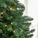 7ft Pre-Lit Full Douglas Fir Artificial Christmas Tree With Realistic Branches, 700 Warm White LED Lights And 2154 Tips_maomaolike.com