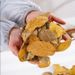 Natural Real Leaves Bookmark Plant Specimen Shooting Props Kindergarten DIY Handmade Dried Flowers Graffiti_maomaolike.com